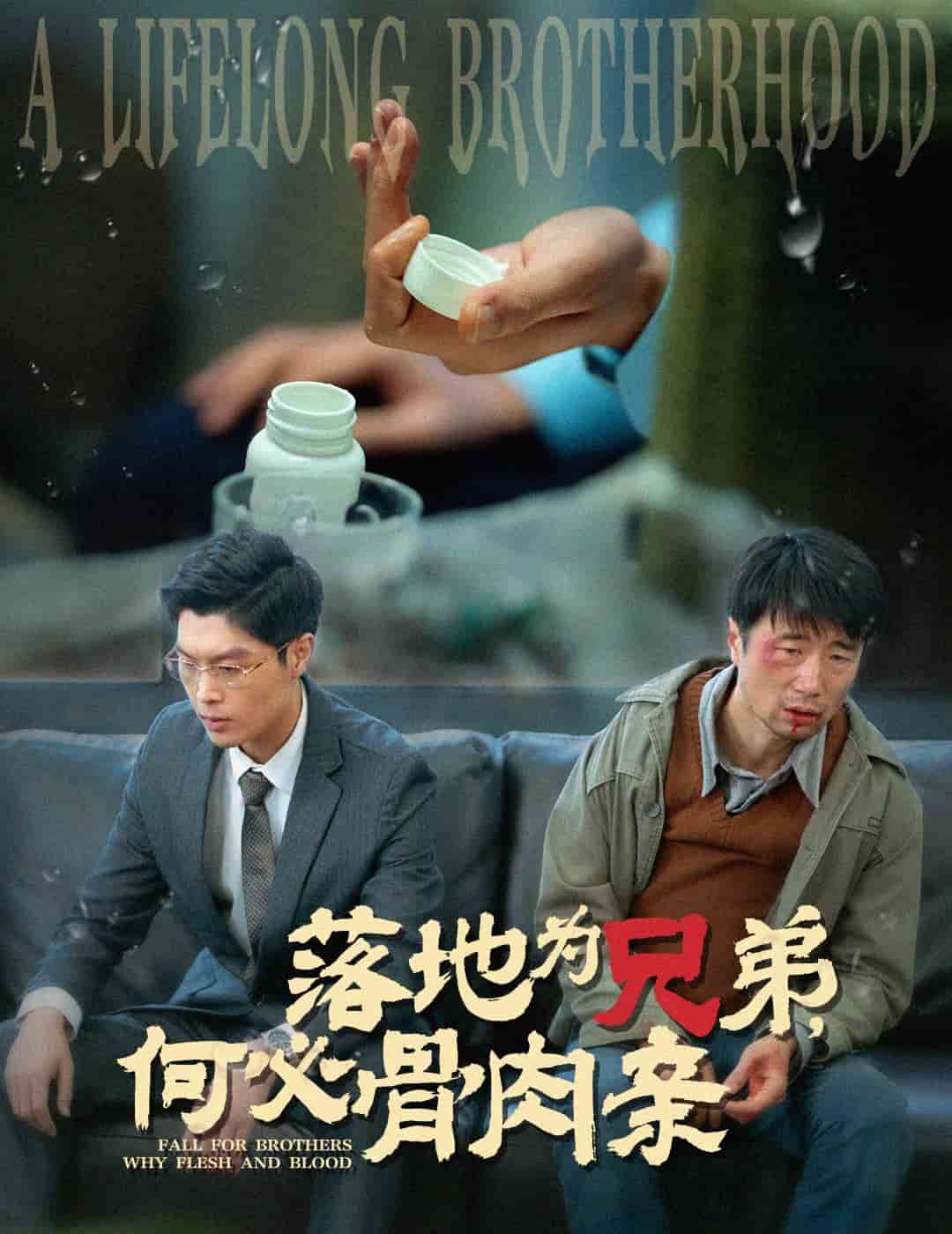 落地為兄弟，何必骨肉親(全集)